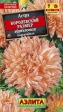 Астра Королевский размер Абрикосовая - Сезон у Дачи