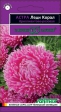 Астра Леди Корал бриллиантово-розовая (Г) - Сезон у Дачи
