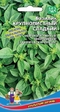 Базилик Крупнолистный Сладкий (УД) - Сезон у Дачи