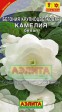 Бегония Камелия белая крупноцветковая (Аэлита) - Сезон у Дачи