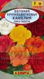 Бегония Камелия крупноцветковая смесь (Аэлита) - Сезон у Дачи