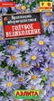 Брахикома Голубое великолепие (Аэлита) - Сезон у Дачи