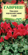 Цикламен персидский (мини) Габи (Гавриш) - Сезон у Дачи