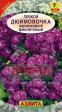 Левкой карликовый Дюймовочка фиолетовый (Аэлита) - Сезон у Дачи