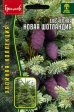 Ель Новая Шотландия чёрная (Nova Scotia) (Григорьев) - Сезон у Дачи