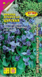 Фиалка Царская (Аэлита Экстра) - Сезон у Дачи