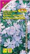 Флокс Ночной благоухающий (Аэлита Экстра) - Сезон у Дачи