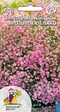Гипсофила изящная Розовое облако (УД) Е/П - Сезон у Дачи