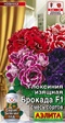 Глоксиния Брокада F1 смесь /Sakata (Аэлита) - Сезон у Дачи