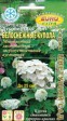 Гортензия дуболистная Белоснежные купола 0,005гр (АэлитаЭкстра) - Сезон у Дачи