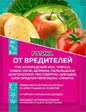 Готика амп. 5мл (ЛТ) - Сезон у Дачи