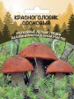 Грибы Красноголовик сосновый - Сезон у Дачи
