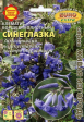 Клематис Синеглазка борщевиколистный (АэлитаЭкстра) - Сезон у Дачи
