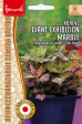 Колеус Giant Exhibition Marble (ИП Григорьев) - Сезон у Дачи