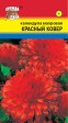 Календула Красный ковер махровая - Сезон у Дачи