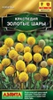 Краспедия Золотые Шары (Аэлита) - Сезон у Дачи
