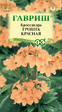 Кроссандра Тропик красная (Гавриш) - Сезон у Дачи