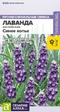 Лаванда Синее копье узколистная многолетняя (Сем Алт) - Сезон у Дачи