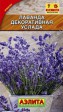 Лаванда Услада (Аэлита) - Сезон у Дачи