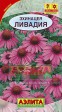 Эхинацея пурпурная Ливадия - Сезон у Дачи