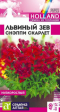 Львиный зев Снэппи Скарлет (СемАлт) - Сезон у Дачи