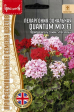 Пеларгония Quantum Mix F1 (Григорьев) - Сезон у Дачи