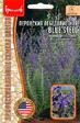 Перовския Blue Steel лебедолистная - Сезон у Дачи