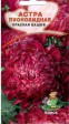 Астра пионовидная Красная башня - Сезон у Дачи