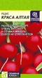 Редис Краса Алтая (Сем Алт) - Сезон у Дачи