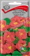 Настурция низкорослая Розовая Вишня - Сезон у Дачи
