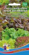 Смесь сортов салата Яркие витаминки (УД) (смесь сортов для самой урожайной грядки) - Сезон у Дачи