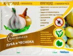 Спасатель Лук и Чеснок 5мл+12мл - Сезон у Дачи