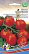 Томат Озарение (УД) - Сезон у Дачи
