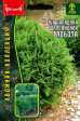 Туя Глобоза западная (Григорьев) - Сезон у Дачи