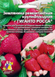 Земляника Гиганто Росса - ремонтантная (УД) - Сезон у Дачи