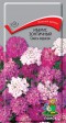 Иберис зонтичный смесь окрасок - Сезон у Дачи