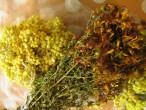 Лекарственные травы - Сезон у Дачи