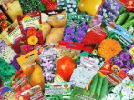 Распродажа семян 2023 года - Сезон у Дачи
