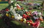 Для овощей - Сезон у Дачи