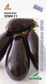 Баклажан Эпик F1 (Агрос) - Сезон у Дачи