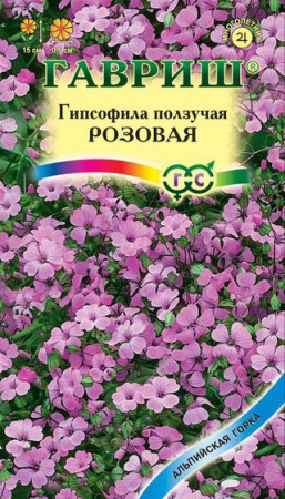 Гипсофила ползучая Розовая - Сезон у Дачи