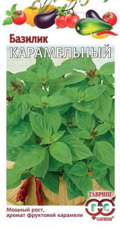 Базилик Карамельный (Гавриш) - Сезон у Дачи