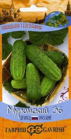 Огурец Муромский 36 /География/ - Сезон у Дачи