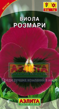 Виола Розмари (Аэлита) - Сезон у Дачи