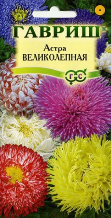 Астра Великолепная Смесь сортов - Сезон у Дачи