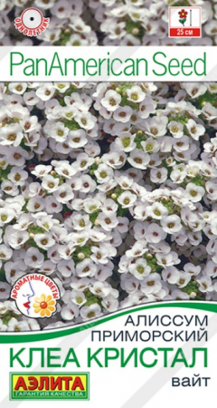 Алиссум Клеа Кристал Вайт (Аэлита) - Сезон у Дачи