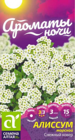 Алиссум Снежный Ковер /Ароматы ночи (СемАлт) - Сезон у Дачи