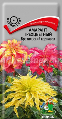 Амарант Бразильский карнавал (Поиск) - Сезон у Дачи