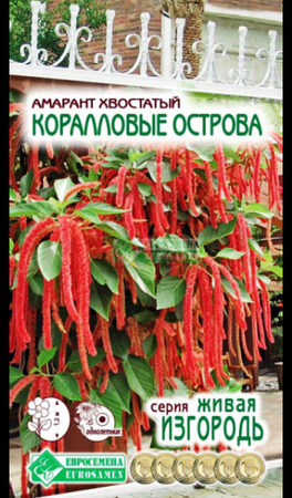 Амарант хвостатый Коралловые Острова /сер. Живая изгородь (Евросемена) - Сезон у Дачи