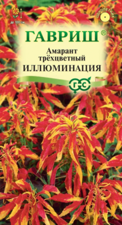 Амарант Иллюминация (Гавриш) - Сезон у Дачи